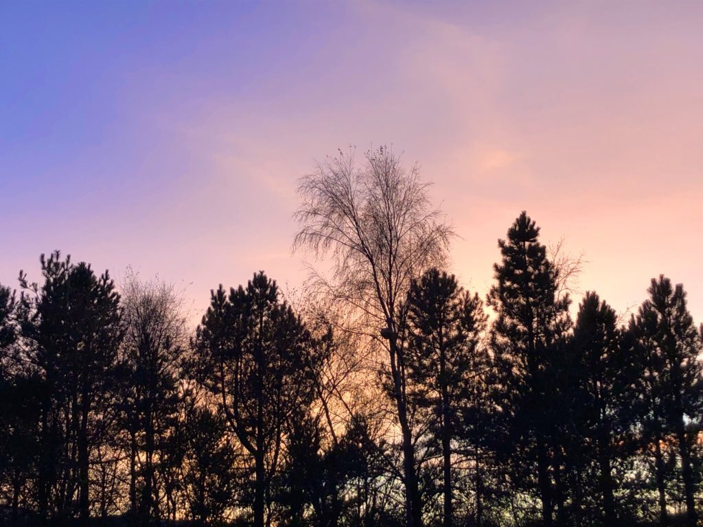 alex (@dancingbirds) on Twitter photo 