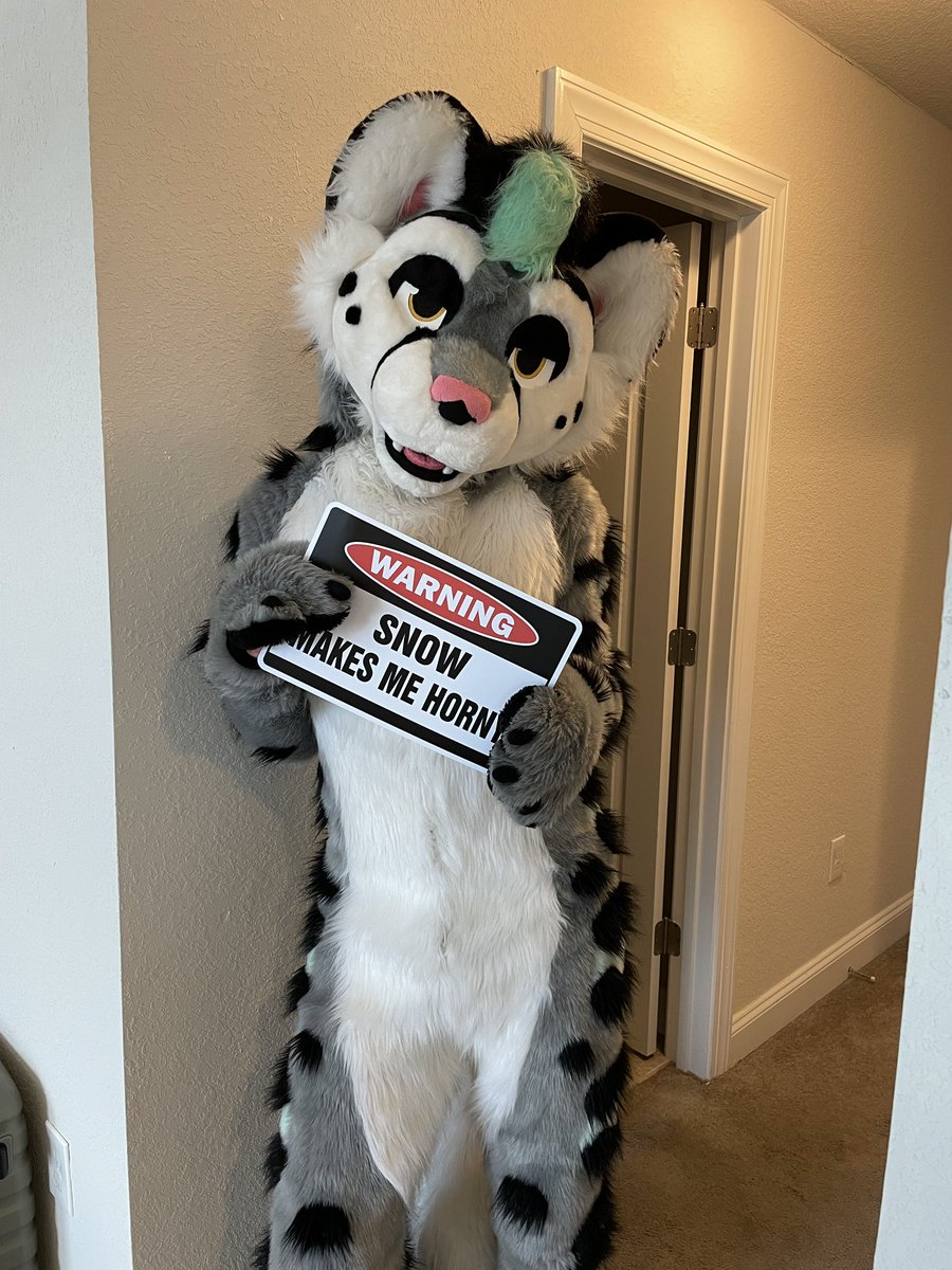 SpeedySnep tweet media