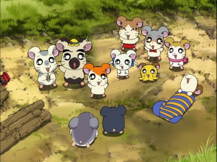 はむたろう CDJapan : CD Twin Tottoko Hamtaro Animation CD Album