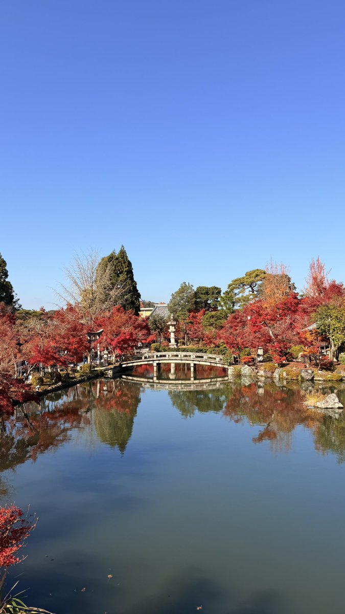 今年的红叶也是看过了