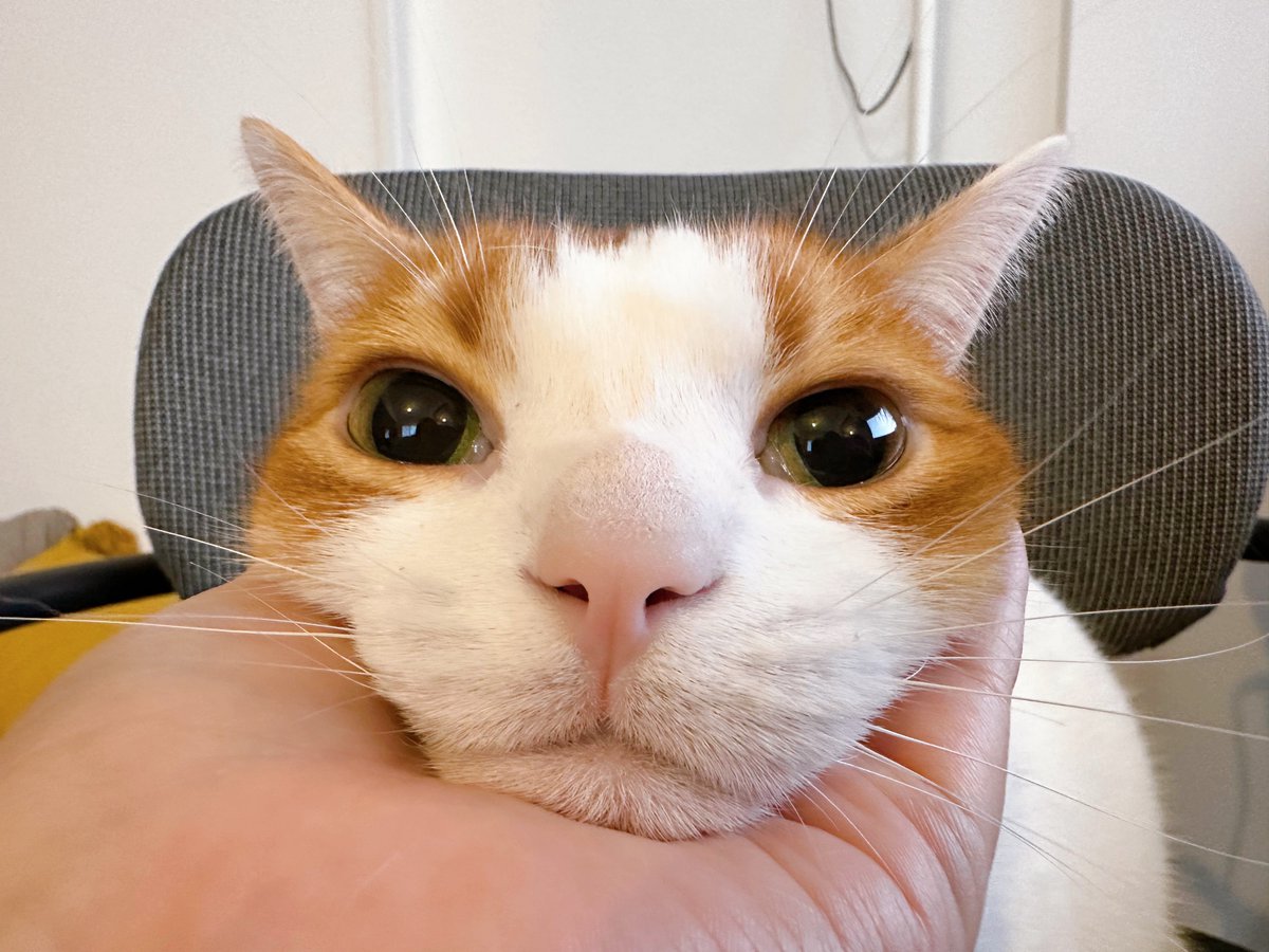 も&もちもな tweet media