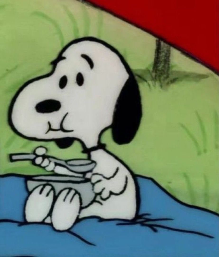 DailySnoopys's tweet image. 