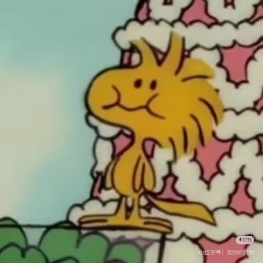 DailySnoopys's tweet image. 