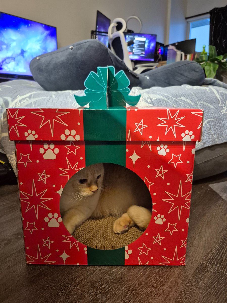 LOOK AT MY PRECIOUS 
She is ready for the holidays!! 
( ≧∀≦)ノ🎁💚❤️