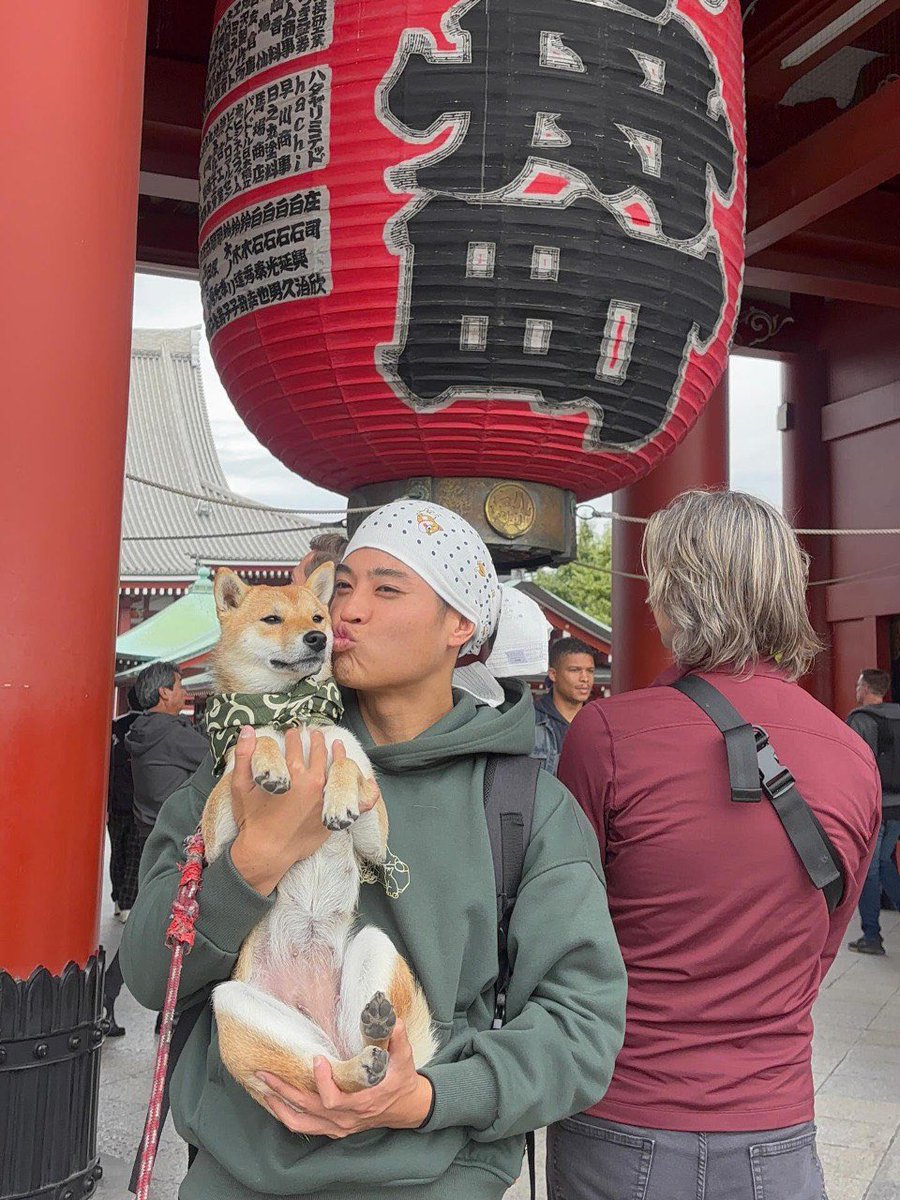 Joelliuzzi tweet media