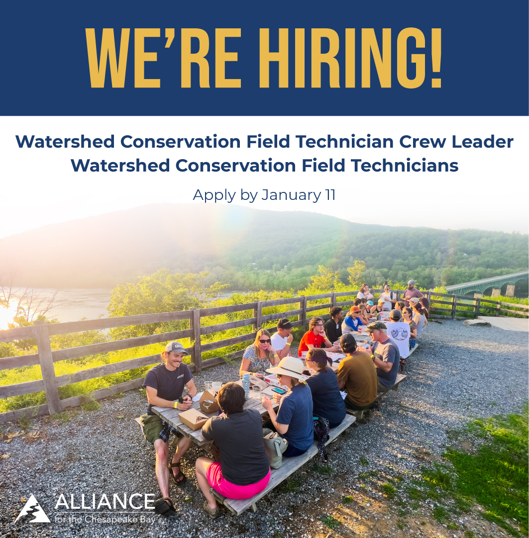 We’re hiring! The Alliance’s Forests Team is seeking a Watershed Conservation Field Technician Crew Leader, and multiple Watershed Conservation Field Technicians to work on a wide range of reforestation, biological monitoring, and outreach projects in Pennsylvania. These