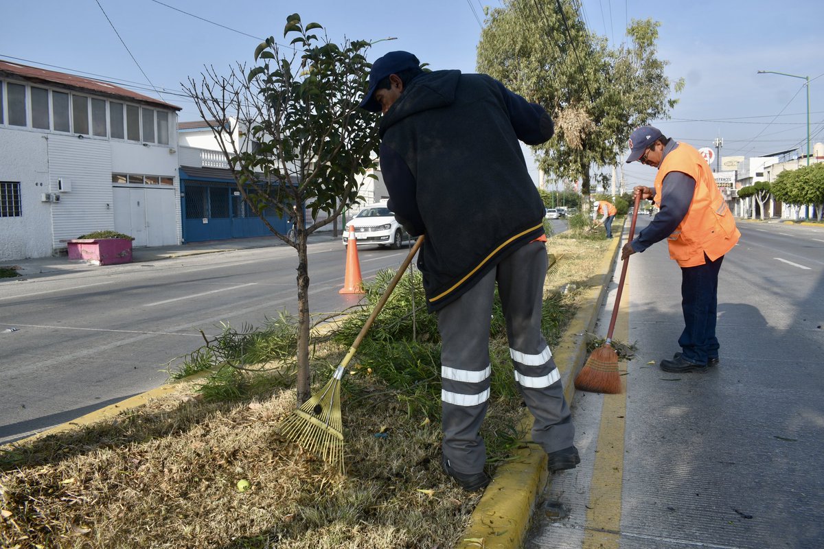 Hoy realizamos trabajos de mantenimiento en la Av. Himno Nacional, llevando a cabo la limpieza general del camellón central, con deshierbe, recolección de basura y retiro de excedentes.
Seguimos trabajando para mantener nuestras avenidas en buen estado.