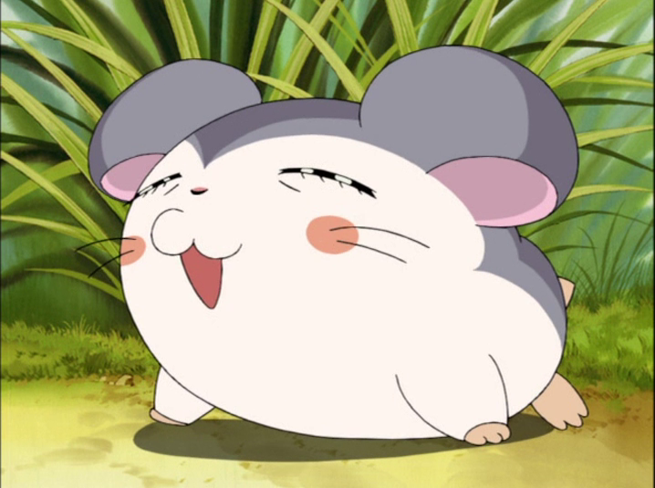 ペンハムくんとあざらしちゃん Tux and Salia first appeared in
