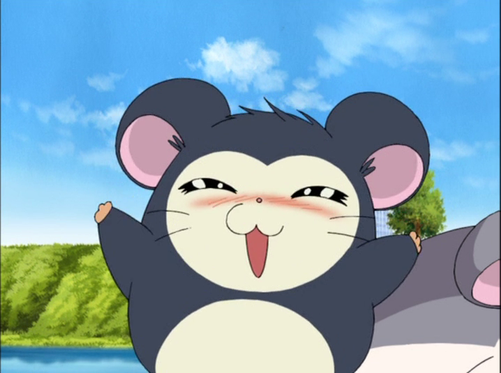 ペンハムくんとあざらしちゃん Tux and Salia first appeared in ペンハムくんとあざらしちゃん Tux and Salia first appeared in