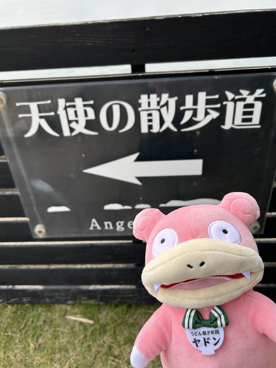 やぁん@ヤドン可愛い (@yaan_yaan_yadon) / Posts / X