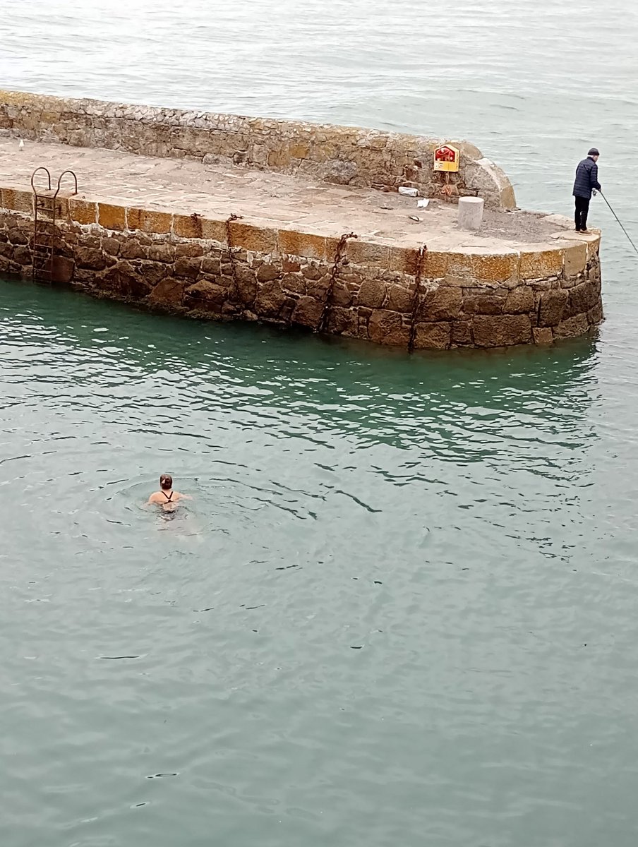 Jane Barnes 🇨🇦🐩👠☘️ tweet media