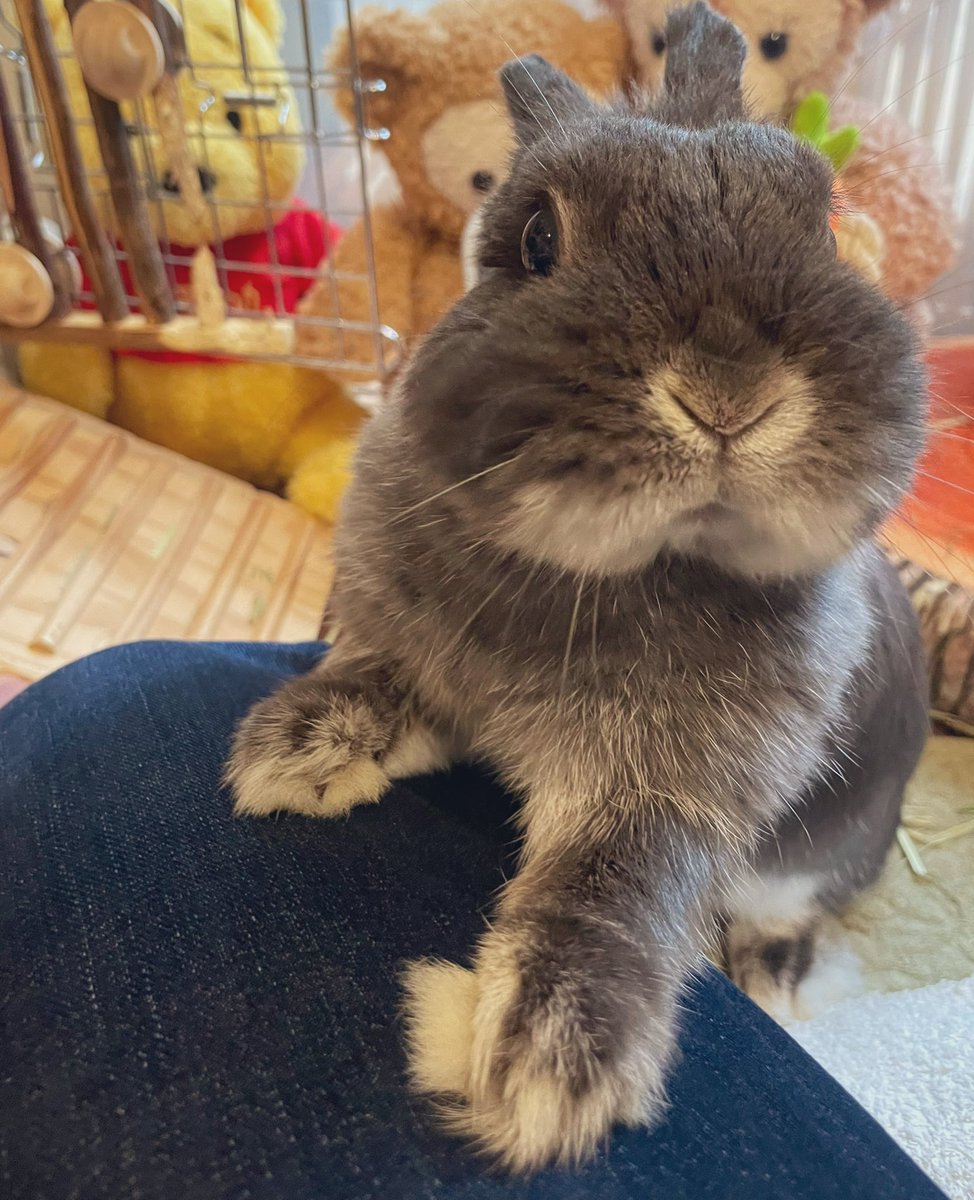 おはようございます☀