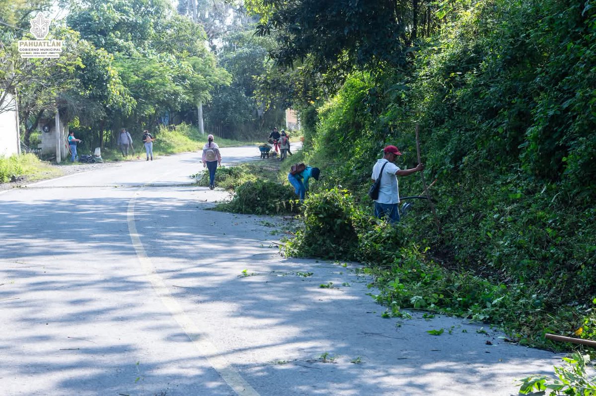 PoderNoticiaPue's tweet image. #Pahuatlán 🚜
🚨 Gobierno y población realizan faena en Pahuatlán.
@Gob_Puebla

Más información ⤵️ 
facebook.com/share/p/1EuNx5…

#PoderNoticiaPue 📰💯