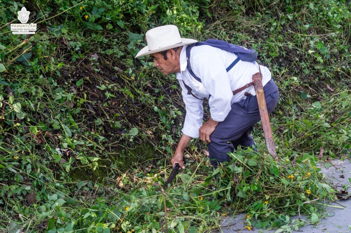 PoderNoticiaPue's tweet image. #Pahuatlán 🚜
🚨 Gobierno y población realizan faena en Pahuatlán.
@Gob_Puebla

Más información ⤵️ 
facebook.com/share/p/1EuNx5…

#PoderNoticiaPue 📰💯