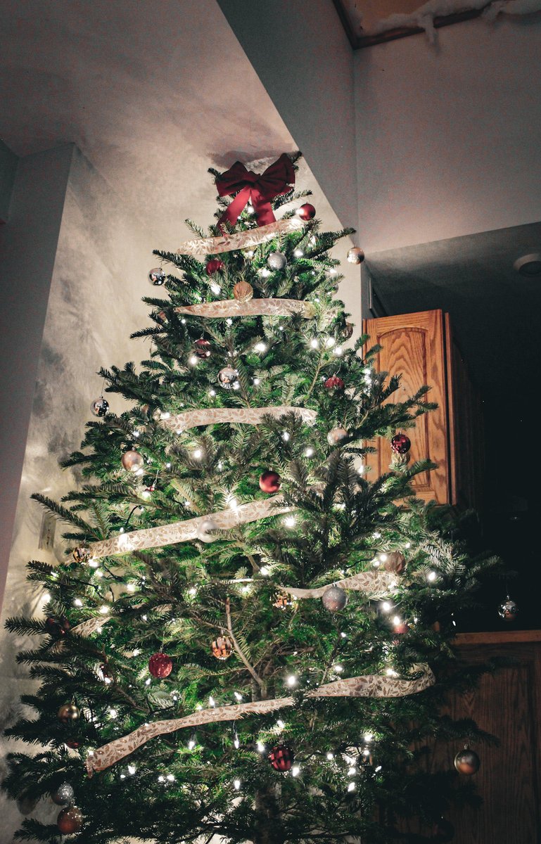 Roger Wilson tweet media