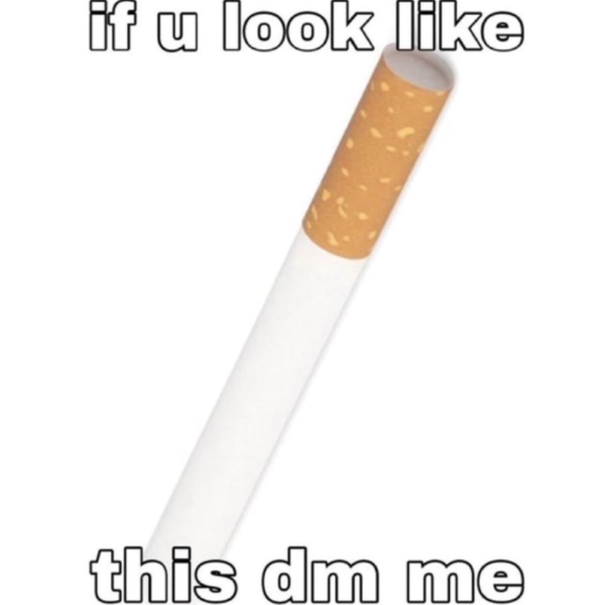 Guttergore1's tweet image. 