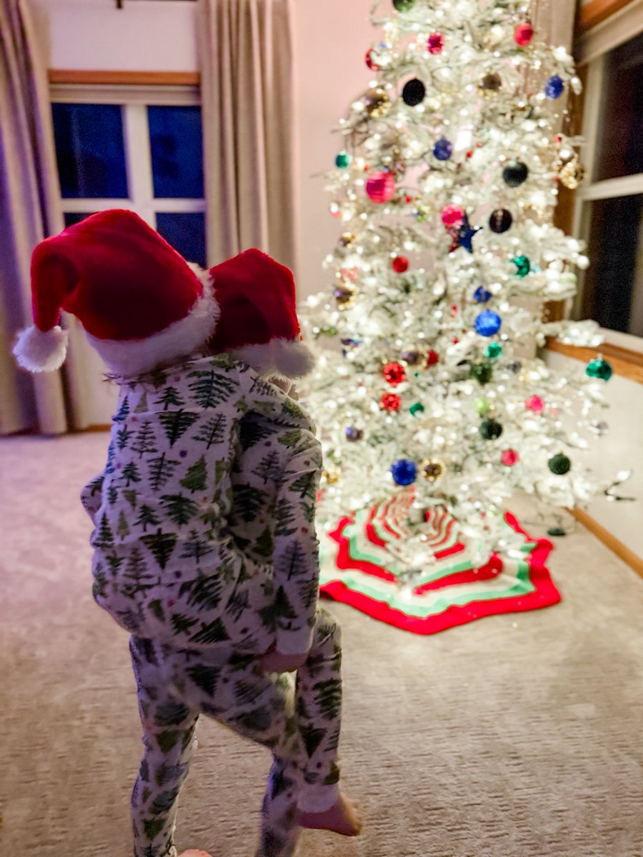Nothing quite like the glow of the Christmas tree on a snowy December night🎄✨