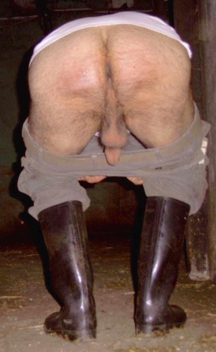 anton bibersberg tweet media