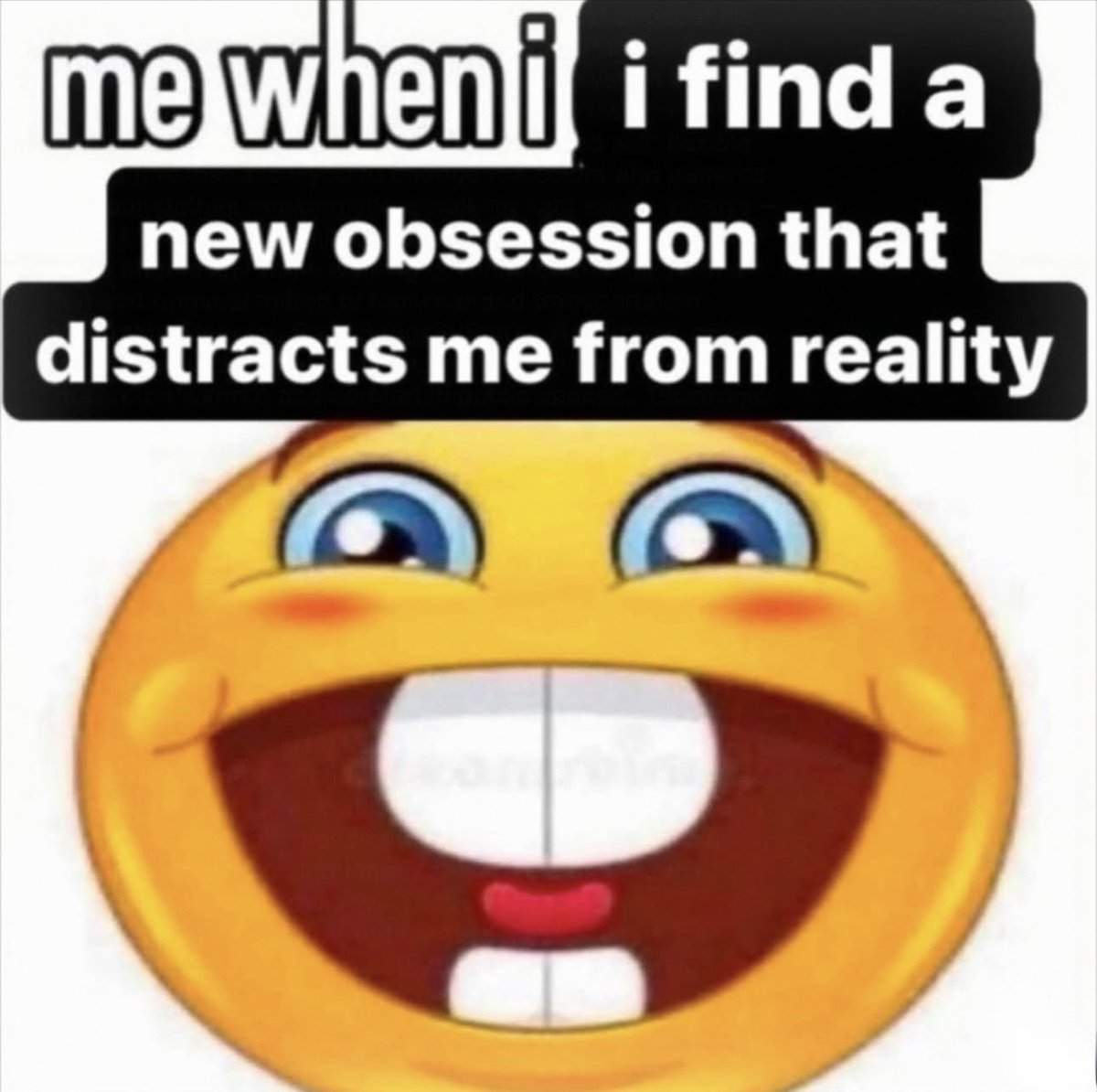 WildSentences's tweet image. 