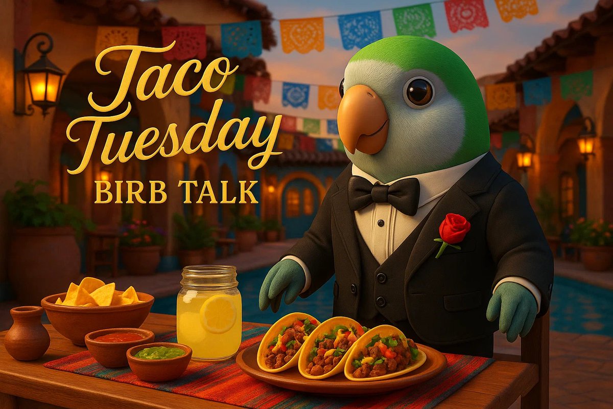 BIRB tweet media