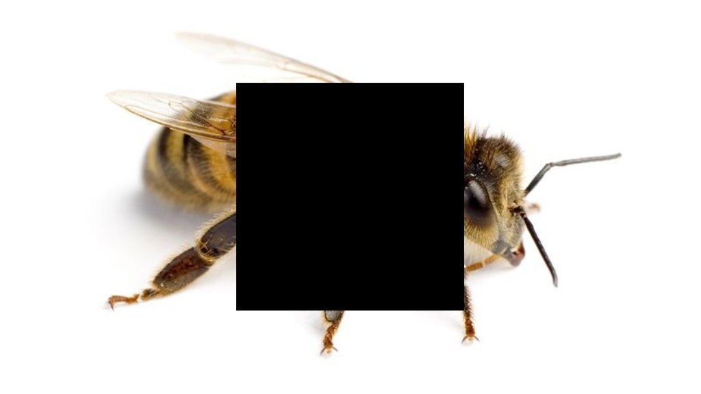 WWaltuhh's tweet image. Guess the animal!