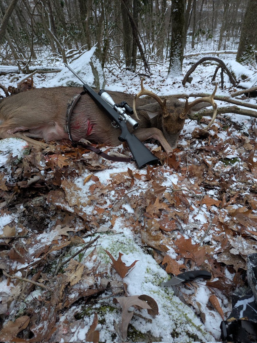 tmullen1245's tweet photo. 2025 PA rifle opening day buck, shot right at first light! https://t.co/8vYA3WEuN0