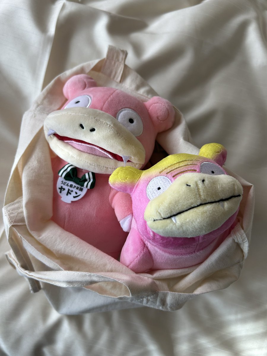 やぁん@ヤドン可愛い (@yaan_yaan_yadon) / Posts / X