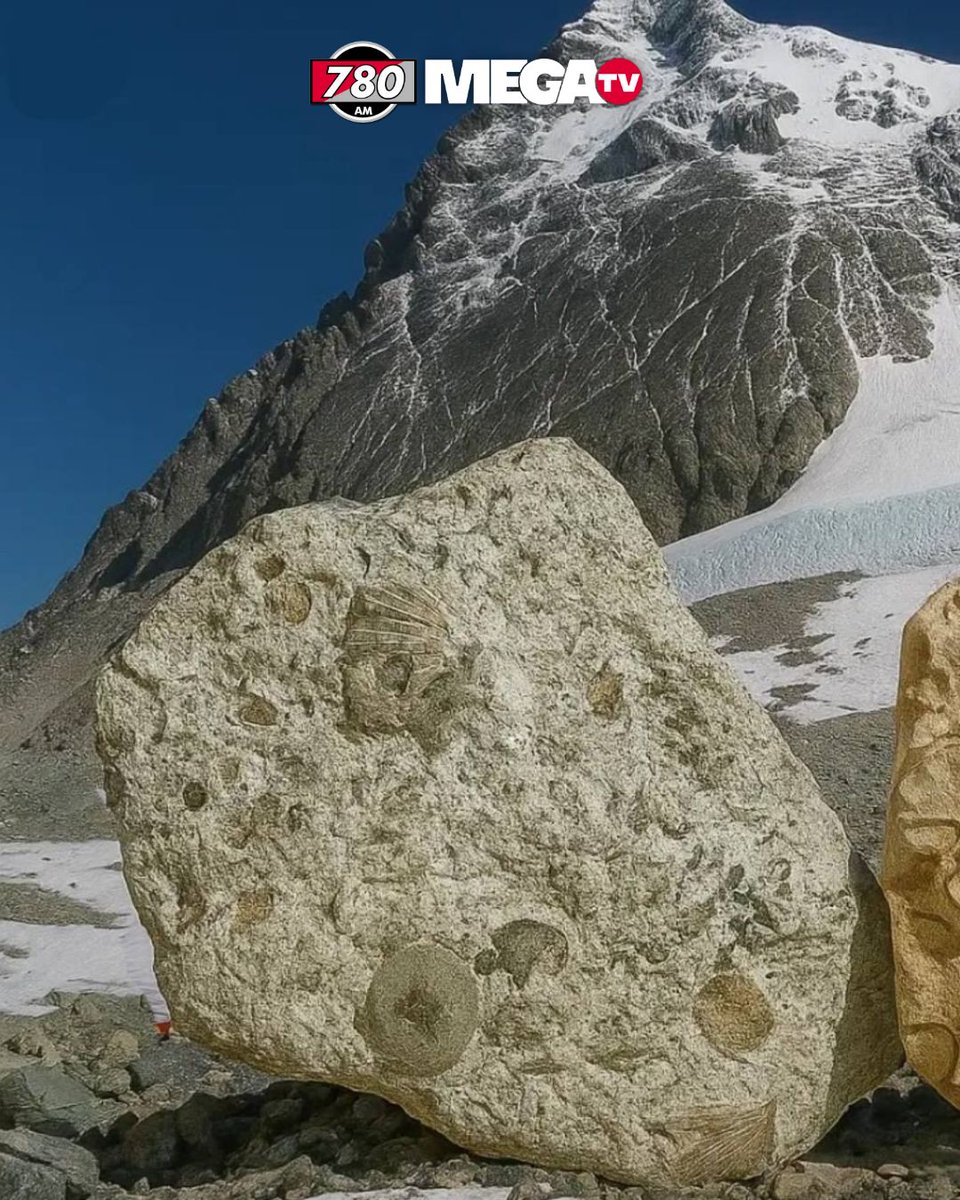 Megatv_py's tweet image. Publican evidencias de que el monte Everest estuvo bajo el agua en el pasado

🗻Nuevas investigaciones confirman que la cima del monte Everest, el punto más alto del planeta, está formada por calizas marinas depositadas hace cientos de millones de años en el fondo del antiguo…