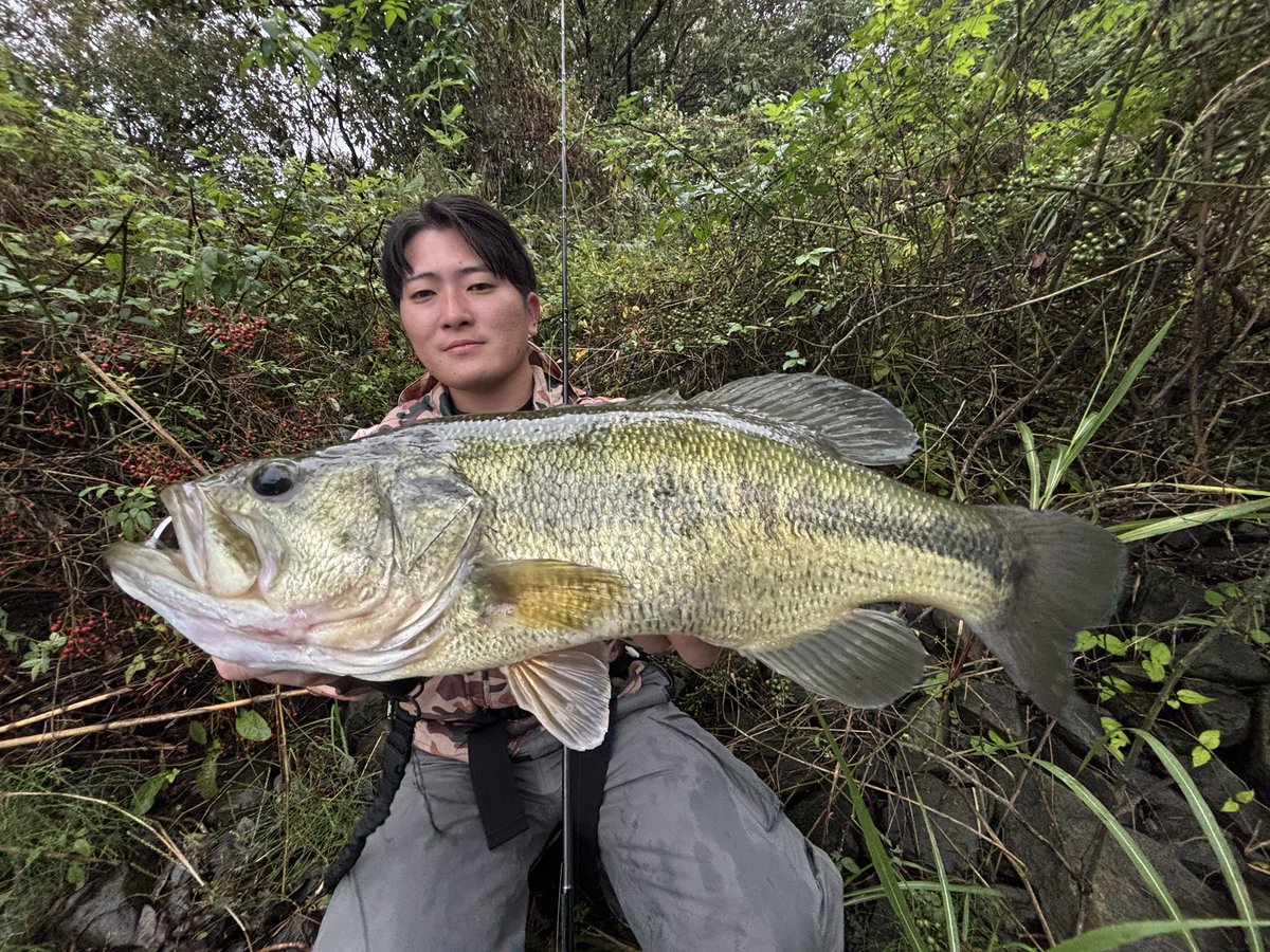 チャッピー (@fishhand_) / Posts / X