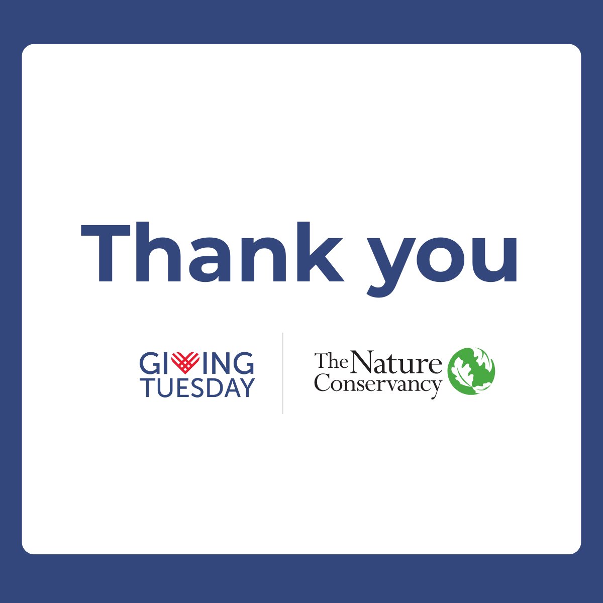 From all of us—thank you. 💚 
Your generosity this #GivingTuesday helps protect vital lands, waters, and wildlife—and brings hope for the planet we share. Together, we’re making a lasting difference, and we couldn’t do this without you. 🌎