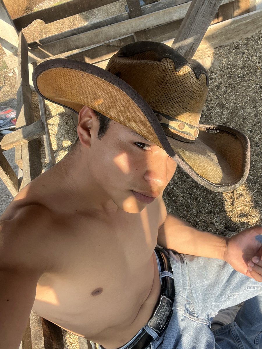 Bernardo tweet media