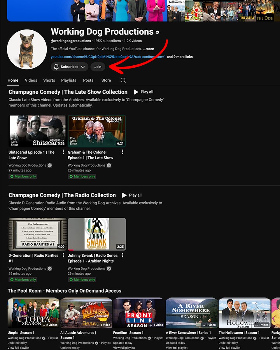 Working Dog tweet media