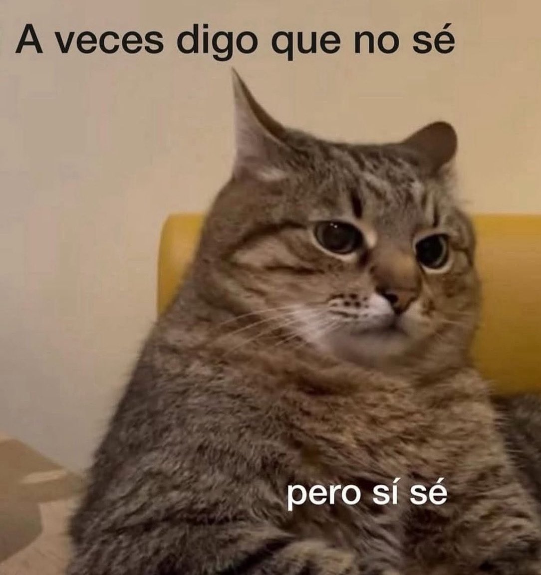 conoloracigarro's tweet image. 