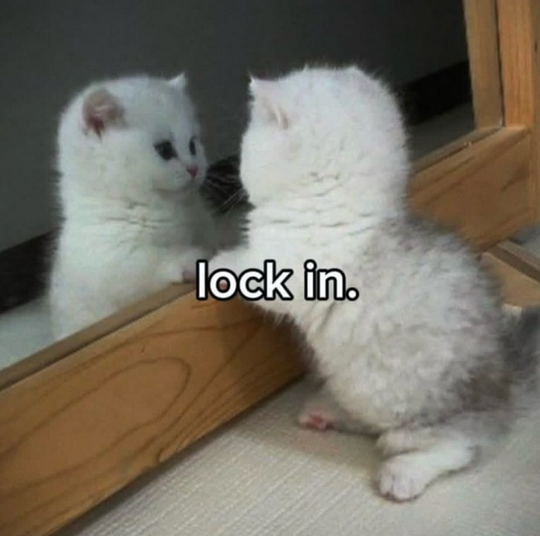 sooftware_'s tweet image. Participe comigo do #DesafioDaSoo !!

O desafio consiste em estudar (qualquer coisa) todos os dias durante o período de 15-20 dias. Se quer participar comigo e acompanhar minha jornada segue o fio 👇🏻🧶