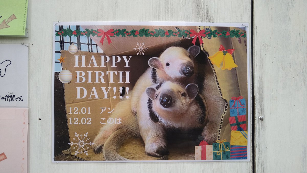 mi/ポスター ◥◣本ポスタービジュアル解禁📣◢◤ ┅ 生きてくれ、友よ。┅ 懸命な