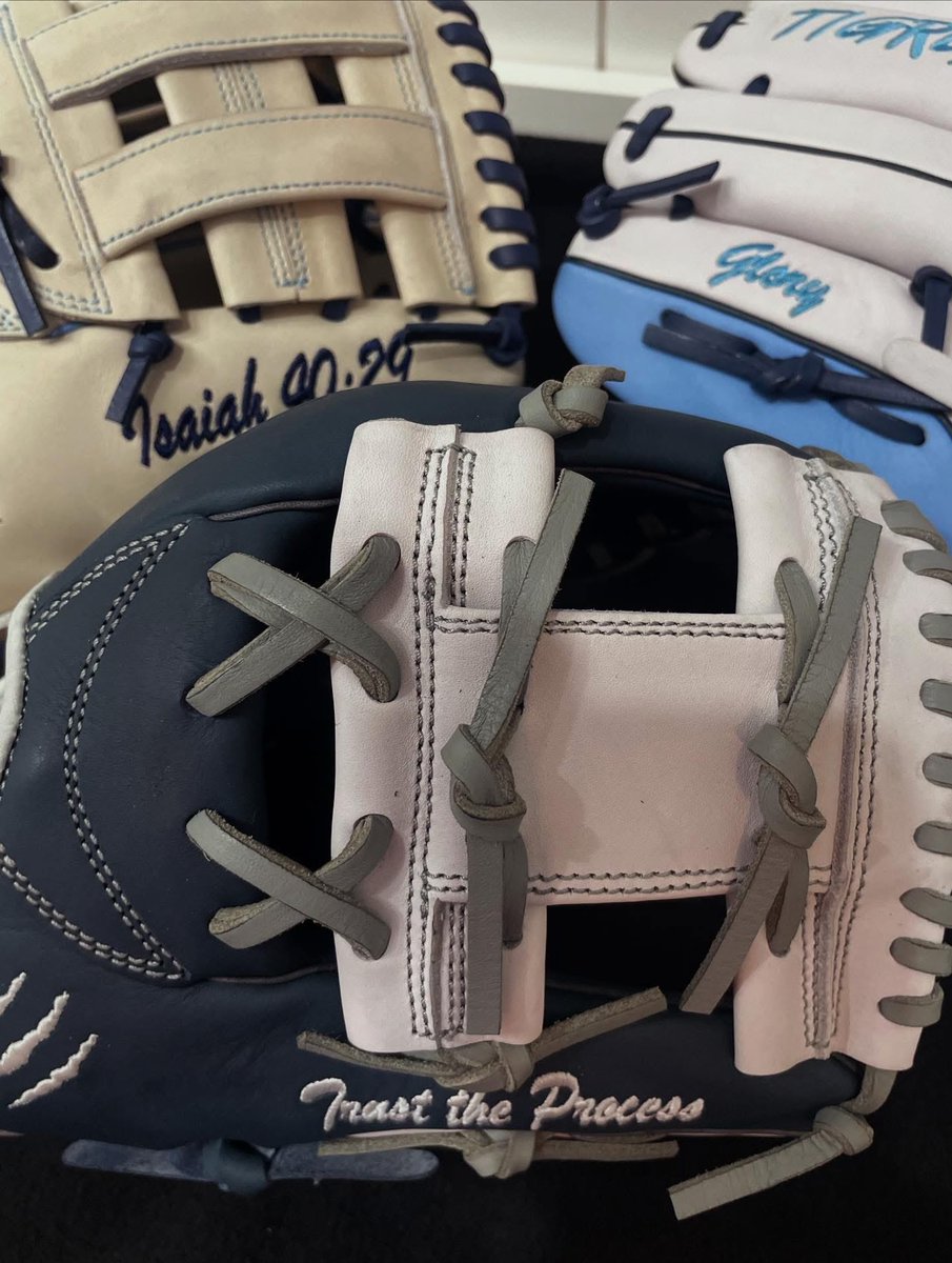 Sneak peak into our team gloves this year! <a href="/TigressGloves/">Tigress Gloves</a>