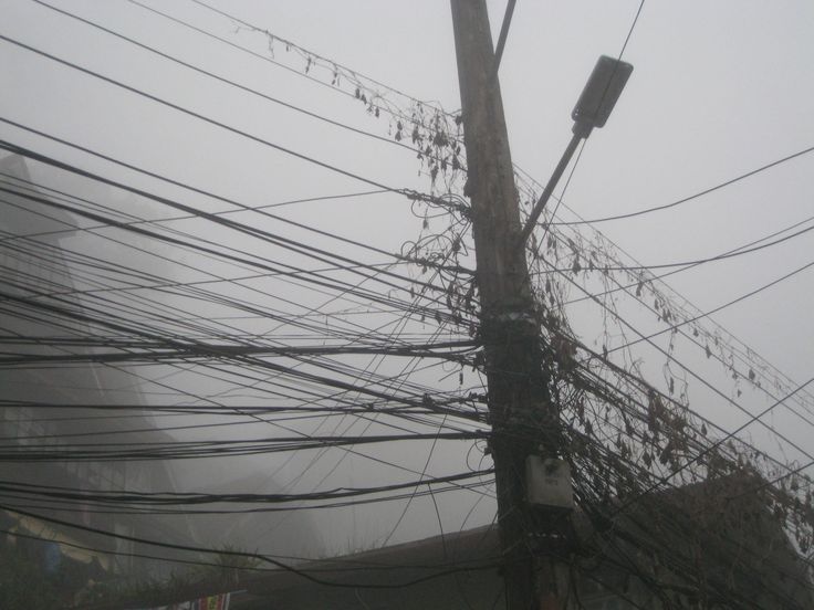 17525272901868291765377191994762551627829917365278 (@gopwbi7qqtwed9o) on Twitter photo 