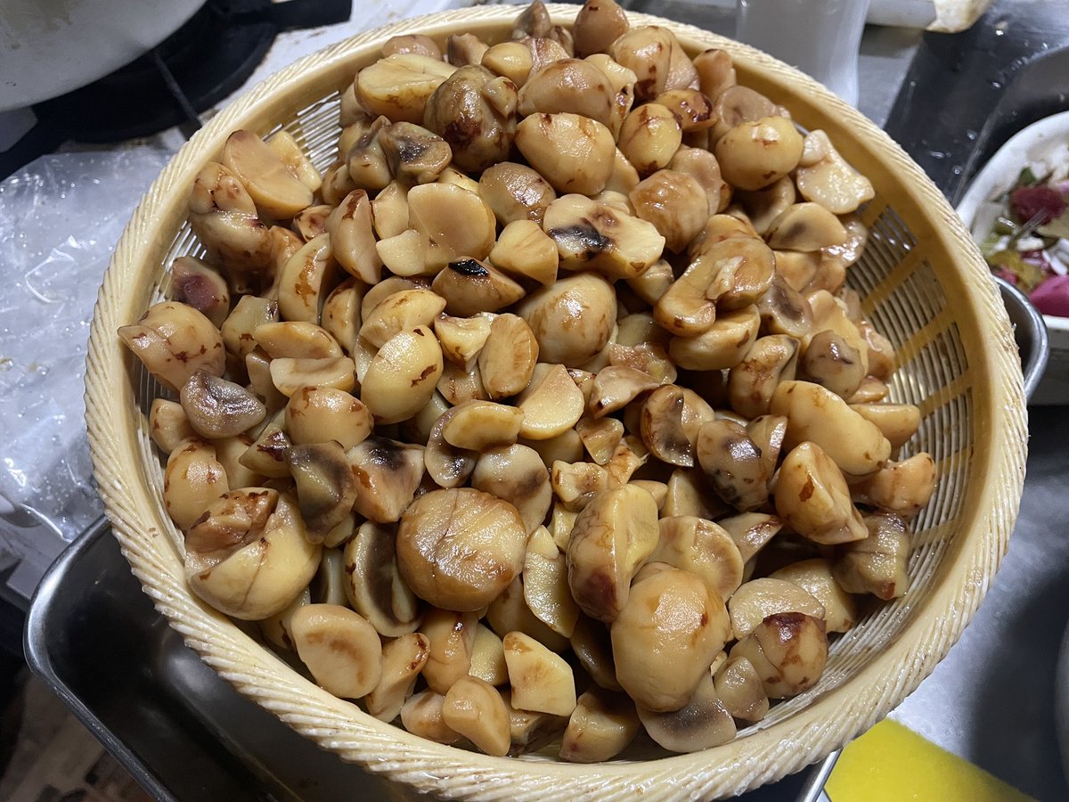 木灰に漬けておいた栃の実を洗って表面の汚れを除去する作業を進めております。最後の工程を終えてきれいに洗って完成です。栃餅作りに使用していきます。
#山形県鶴岡市
#栃の実 
#トチノキ