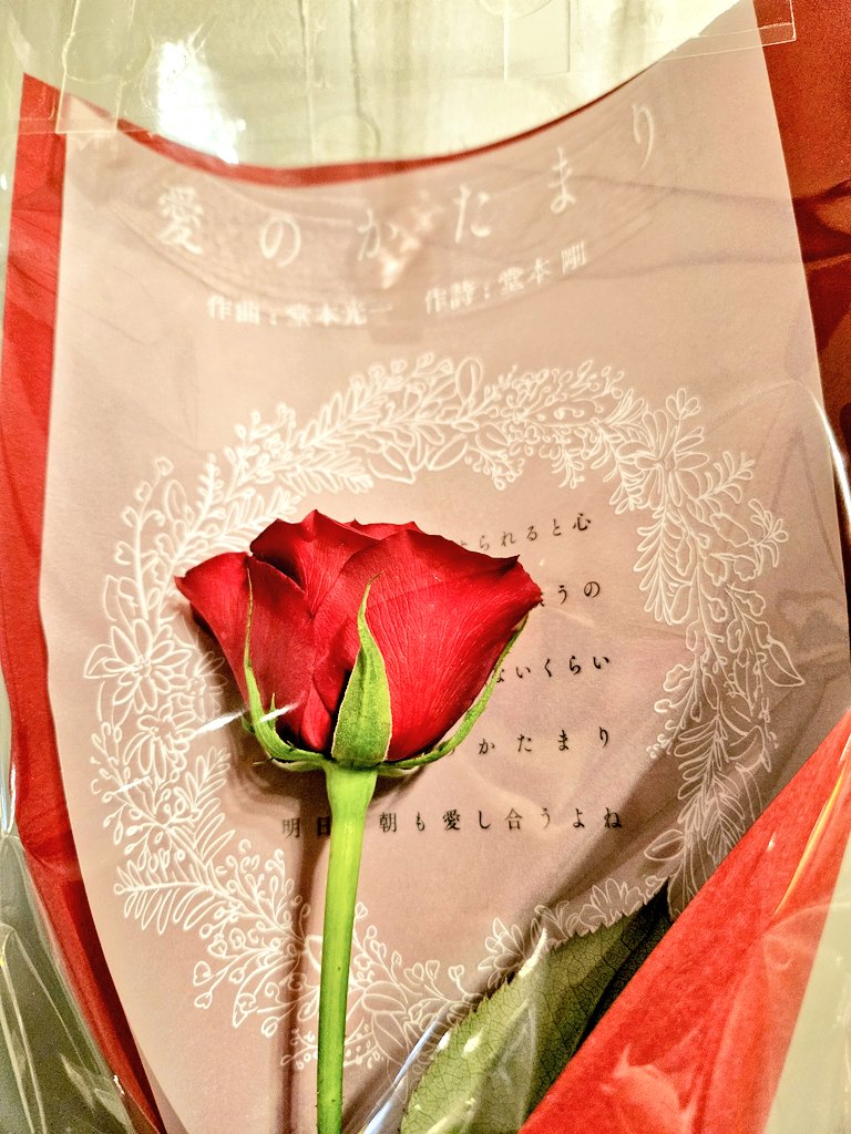 Spotify x DOMOTO “愛のかたまり” POP-UP EVENT』 QRコード、よく見て