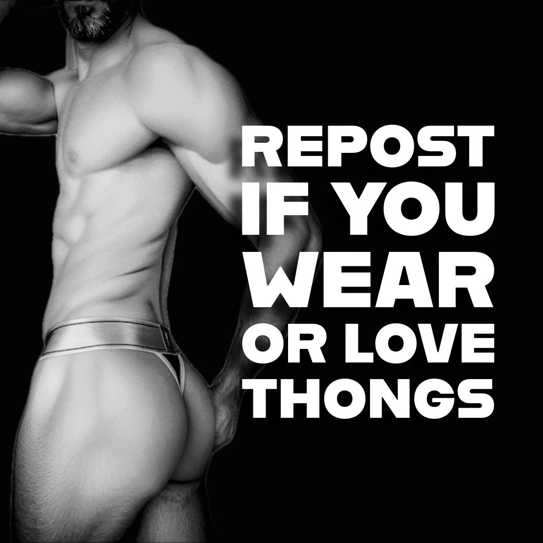 Urso de Tanga tweet media