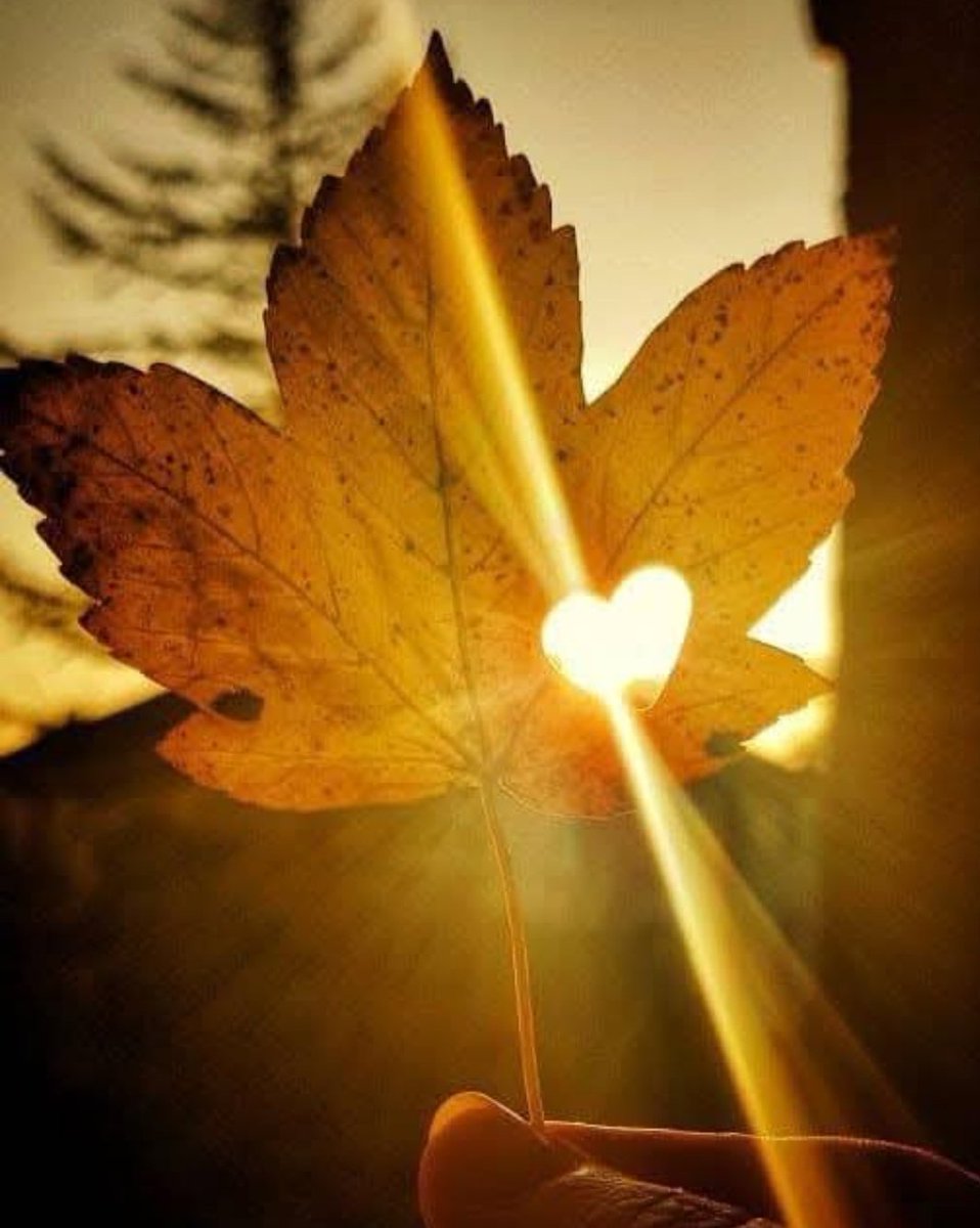 السلام علیکم ورحمتہ اللہ وبرکاتہ 
صبح بخیر 

دنیا میں سب سے بڑی عبادت یہ نہیں کہ ہم کتنی دیر عبادت گاہ میں کھڑے رہے، بلکہ یہ ہے کہ ہمارے دل میں دوسروں کے لیے کتنا احساس ہے۔ 💯