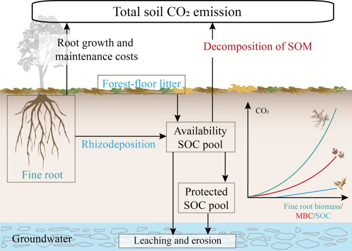 Osbert Sun tweet media