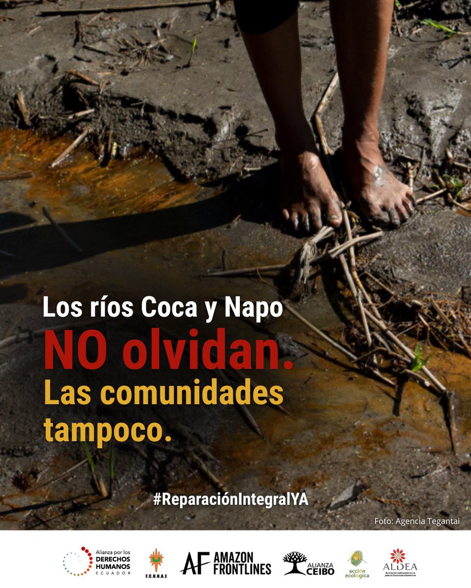 ⭕️El derrame de petróleo del 2022 contaminó diversos ecosistemas y decenas de comunidades.

🛢️El crudo avanzó 300 kms. río abajo. No se recuperó un solo barril de los más de 15 mil derramados.

#ReparaciónIntegralYA 
<a href="/OrellanaCJ/">OrellanaCJ</a> <a href="/CJudicaturaEc/">Consejo de la Judicatura</a> <a href="/CorteConstEcu/">Corte Constitucional</a>