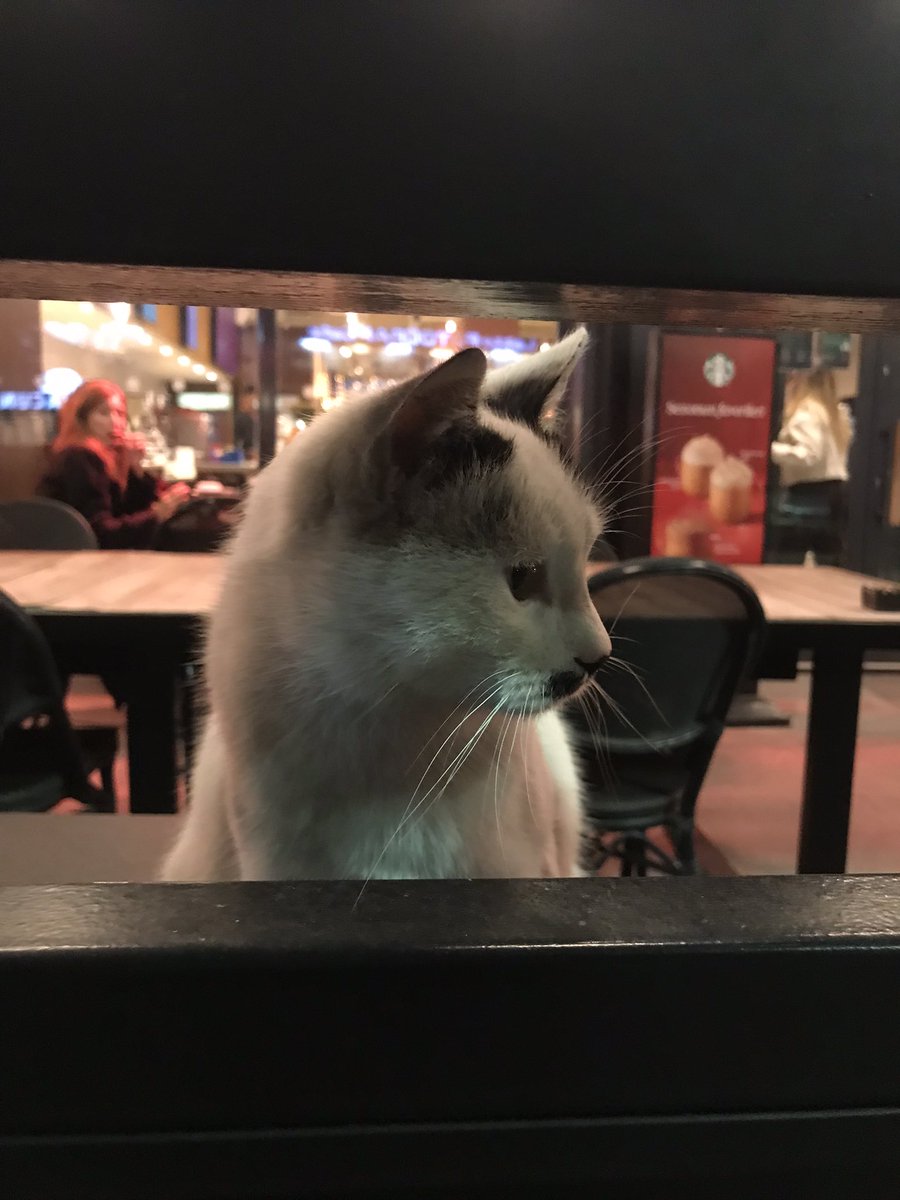 bi sagdan cek bi de soldan