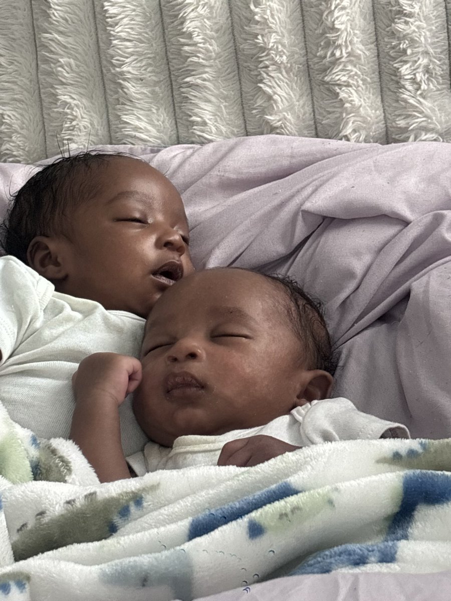 kaybae0902's tweet photo. I have the sweetest little babies😭🥺😍😍 https://t.co/UVnzvIxTSy