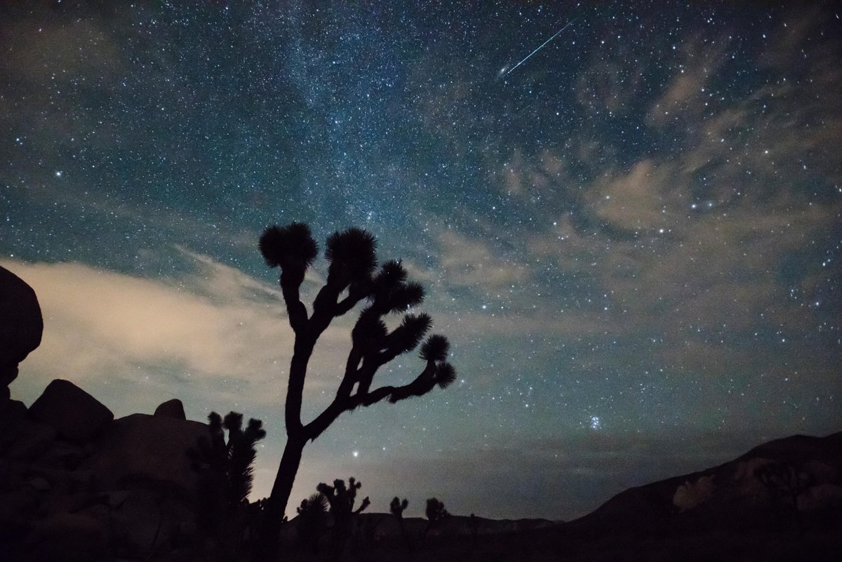 Los 9 fenómenos astronómicos imperdibles de diciembre: de la mejor lluvia de meteoritos a un cometa interestelar único

Nota completa: dis.la/600870NRE

📸 Dominio público/Joshua Tree National Park