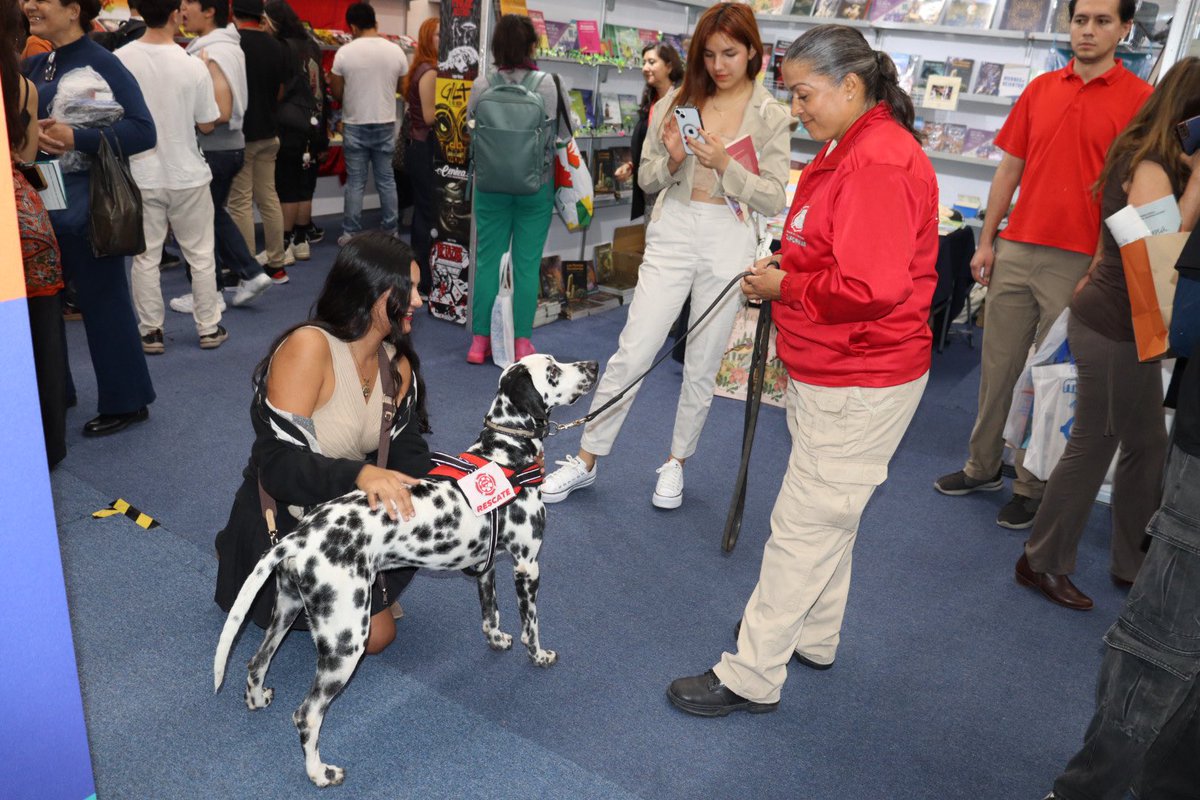 UMPCyBZ's tweet photo. Estamos en el stand D15 de @ZapopanGob en la @FILGuadalajara de @ExpoGuadalajara con actividades recreativas. 🚒
Sé bombero por un día, rompe tu récord en nuestras estaciones y conoce a Domino, oficial canino de #Base2. Recuerda: en estas fechas, evita la pirotecnia.
Hasta 21 h. https://t.co/at9CFxBO1p