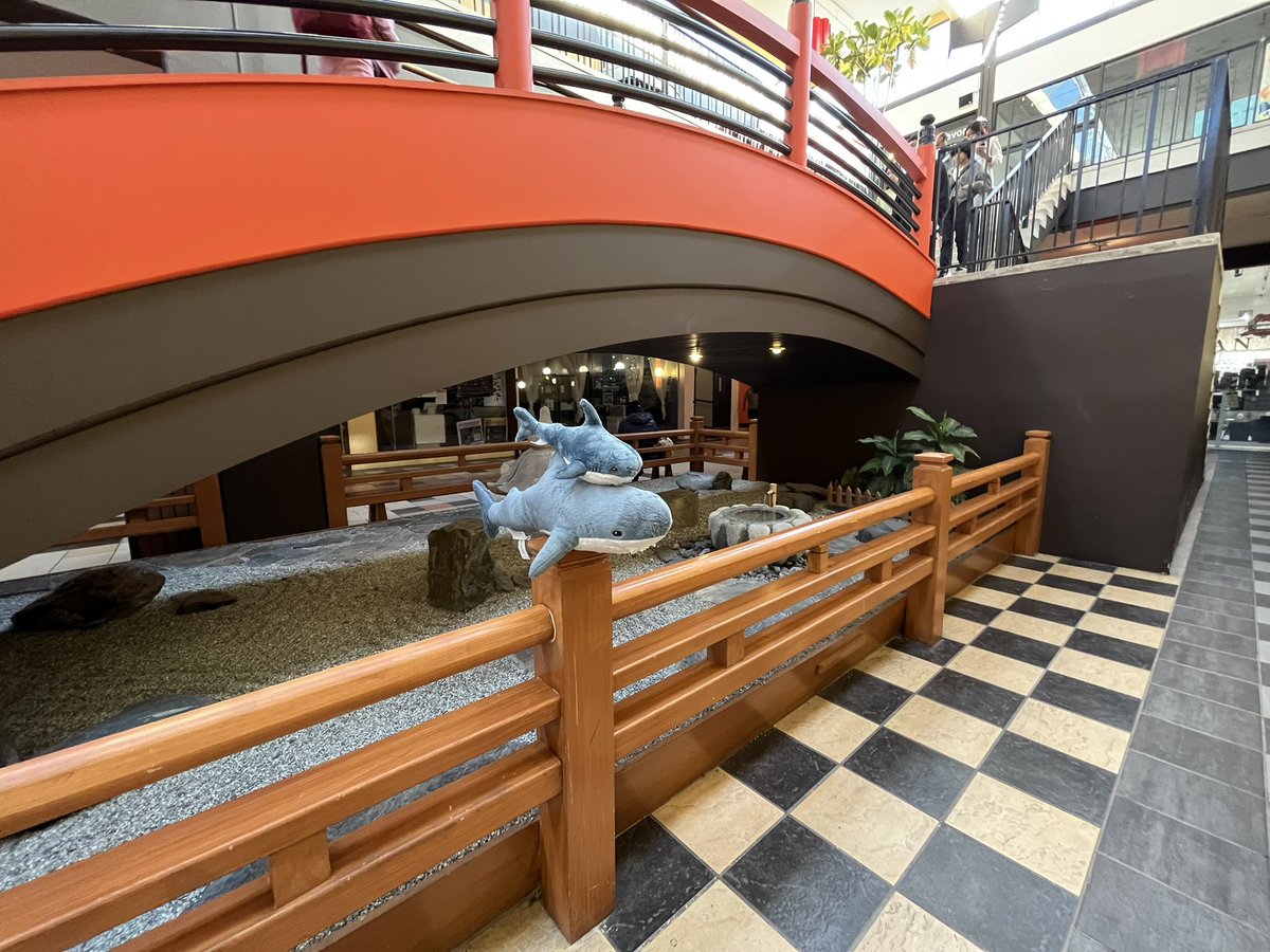 日本っぽい橋と灯篭があったのでパッチ🦈✨️✨️
#IKEA #IKEAのサメ #IKEAshark #blahaj