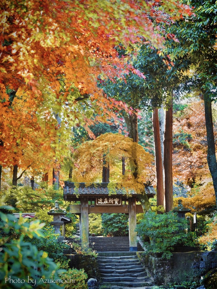 鎌倉の古刹の美しい秋景色🍁*:･ﾟ

12月1日  浄智寺