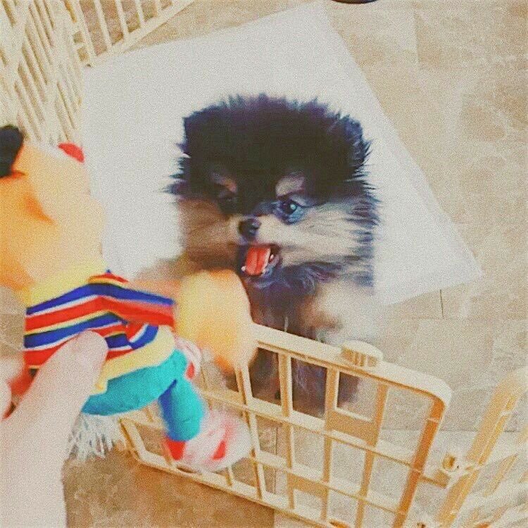 memorialYeontan's tweet image. 